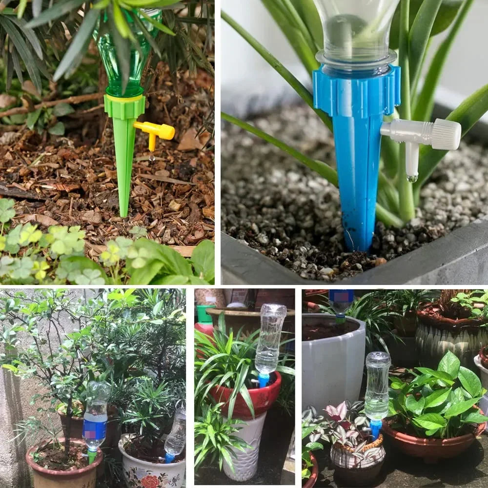 Arrosages goutte à goutte